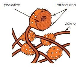 Struktura brusné netkané textilie Struktura brusné netkané textilie